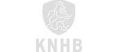 Khnb_hockey_Grey