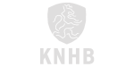 Khnb_hockey_Grey